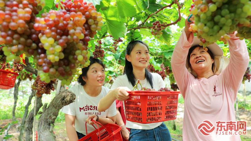 周宁县绿水青山就是金山银山,周宁生态环境局局长