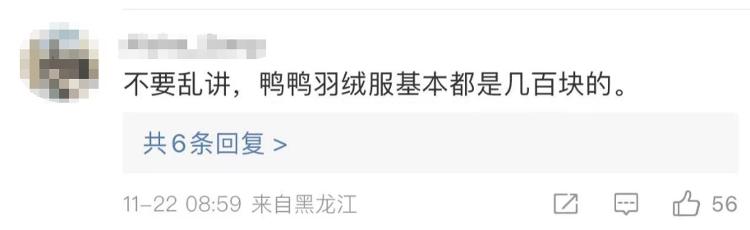 媒体评国产羽绒服“贵”上热搜,国产羽绒服贵上热搜