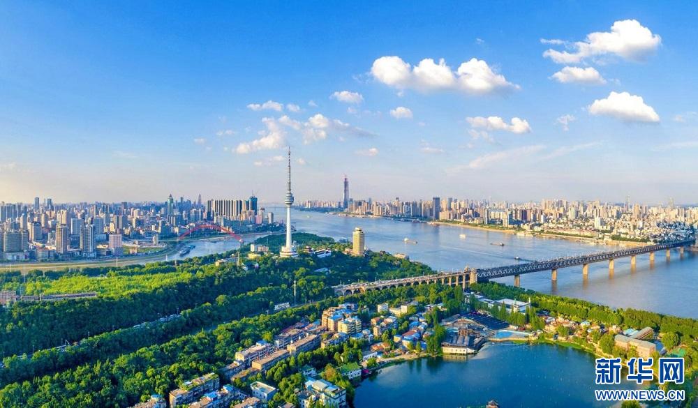 武汉园林绿化发展建议,聚焦质量提升推进高质量发展