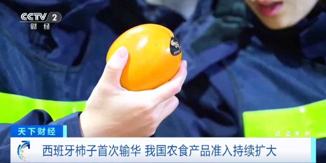 进口水果都到达中国哪些市场,中国最新的进口水果信息