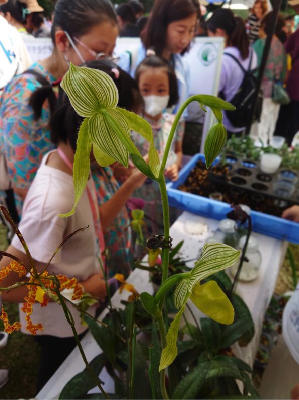 中科院科技成果巡回展,中国科学院科学节