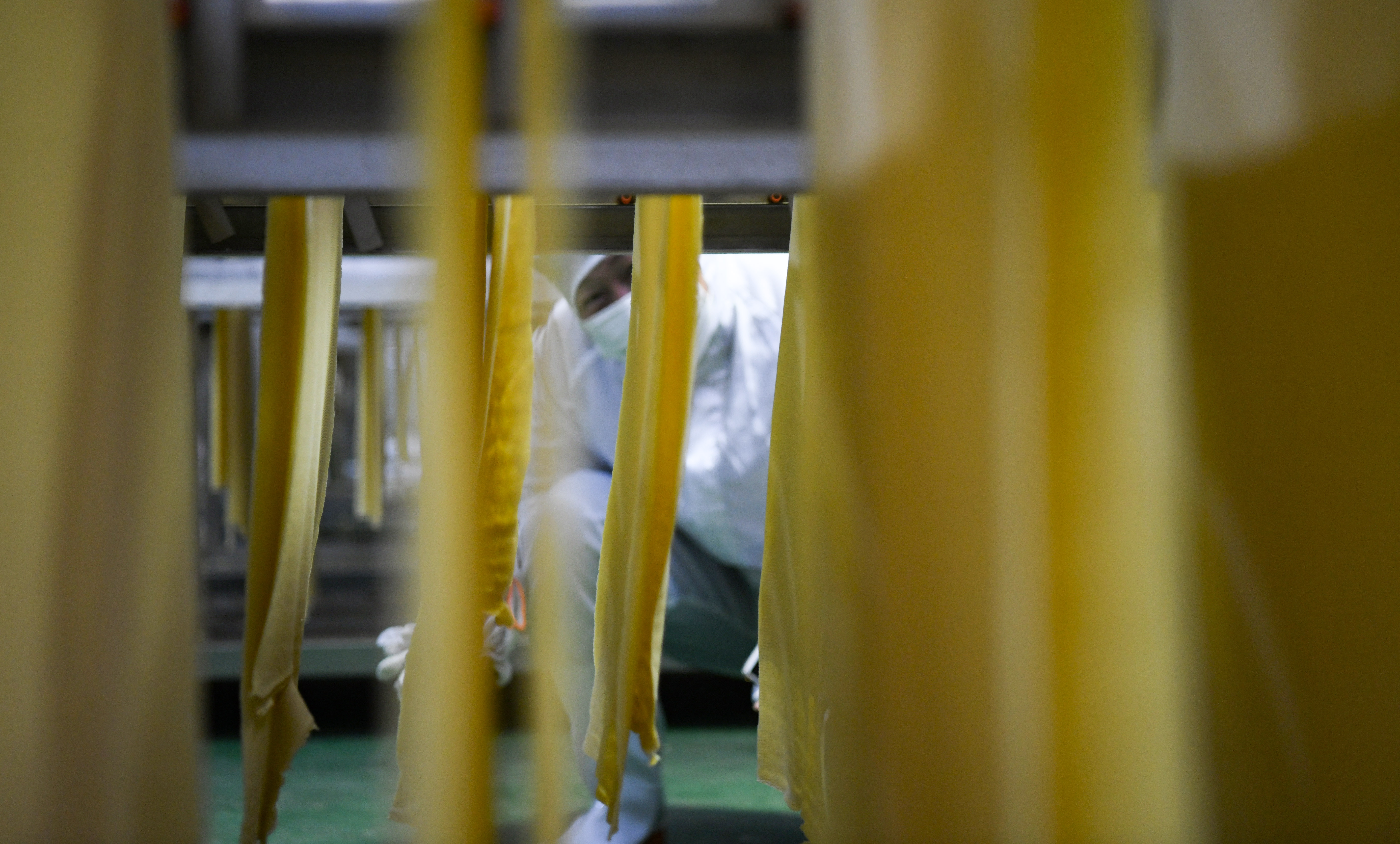 隆化种植药材收入,隆化县乡村振兴图片