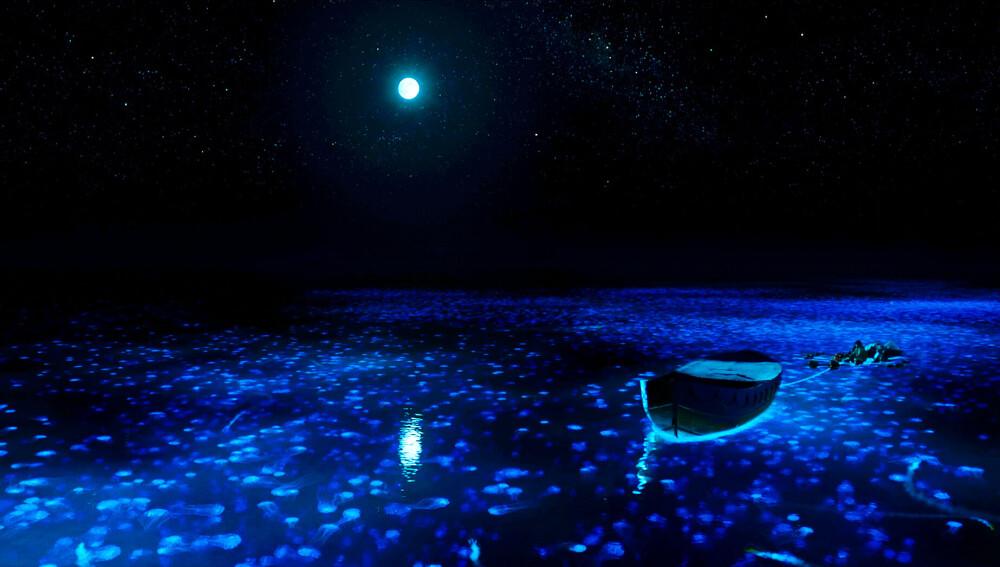 梁鹏飞作品,梁鹏飞驻马店