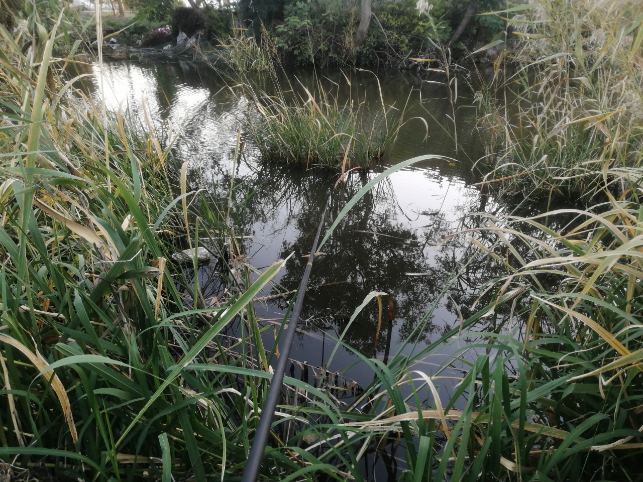 「双11」寒潮来袭检验是否空军，什么用蚯蚓也能上草鱼？