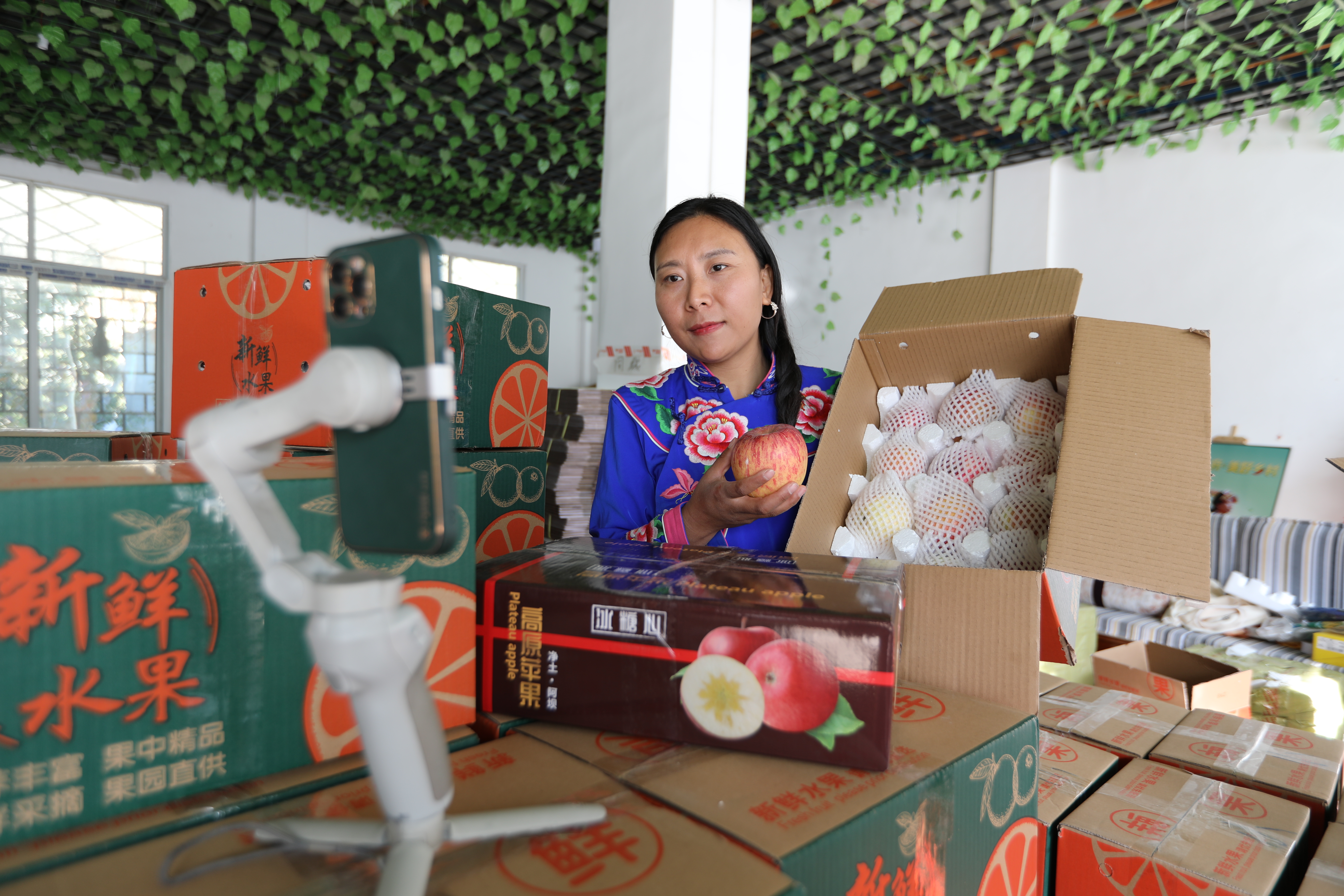 羌族妹子易川直播间,羌妹子易川