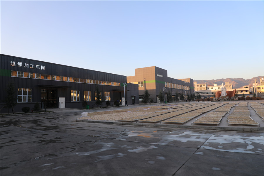 商洛市项目观摩结果,2018年商洛市重大项目观摩