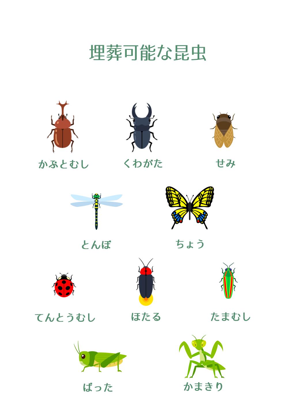 日本公司推出“昆虫殡葬服务”，你会为昆虫花钱举行葬礼吗？