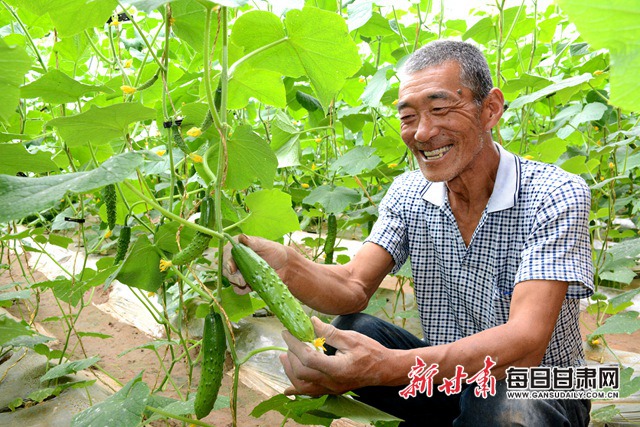 武威市人代会精神,武威党代会报告