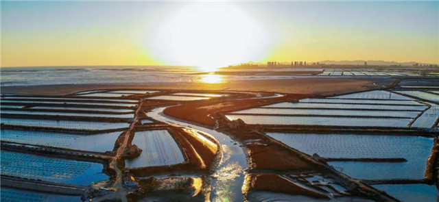 威海蓝碳科技,威海南海蓝碳