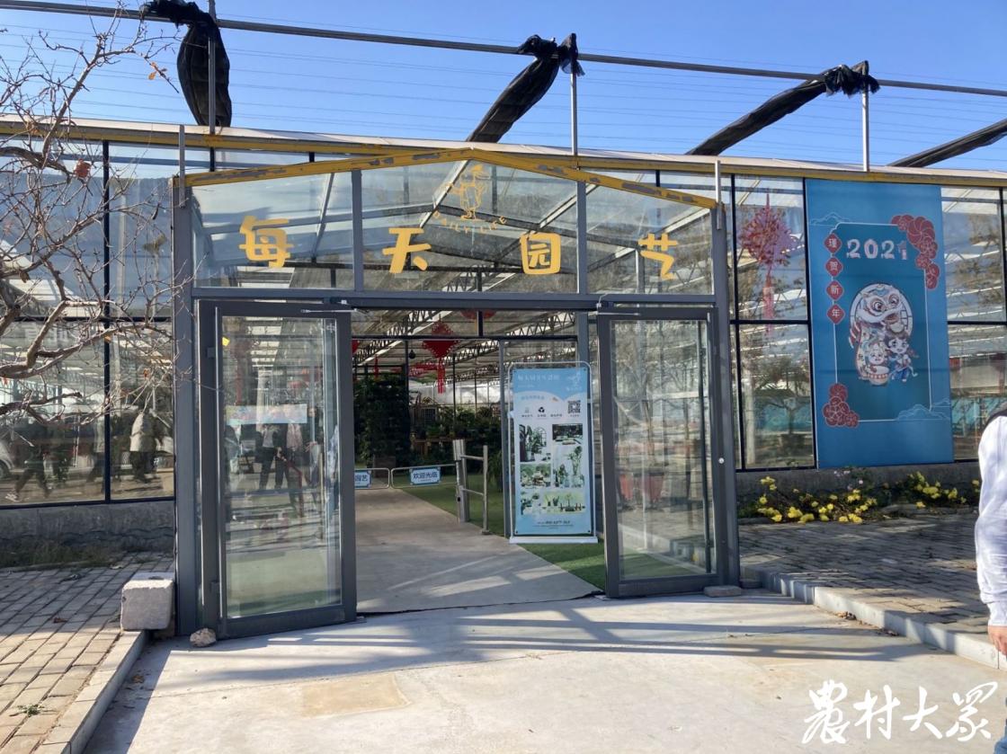 场景式展示+艺术化表达,6名大学生返乡创业打造乡村园艺馆