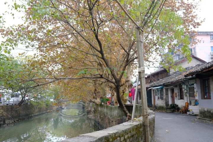 浙大紫金港附近新楼盘,浙江大学紫金港校区附近楼盘