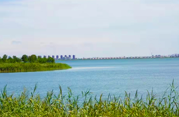 天津静海团泊游泳健身,天津团泊洼体育中心