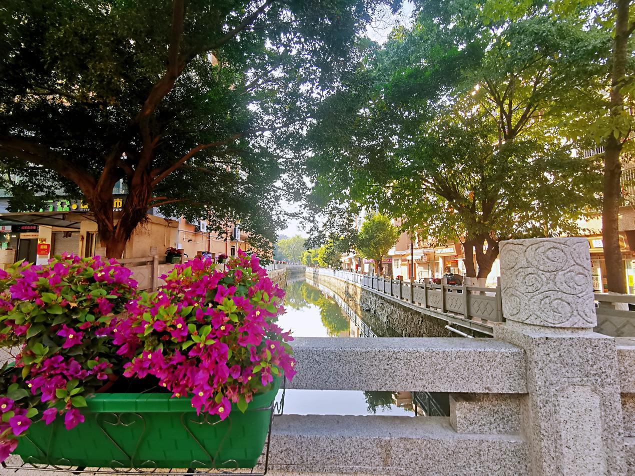 广州白云区2022年十项民生实事,白云区十件实事出炉