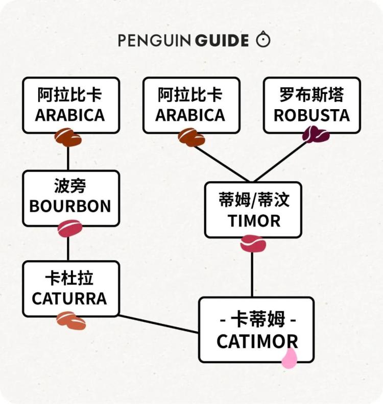 咖啡卖到500块,咖啡卖1800一杯