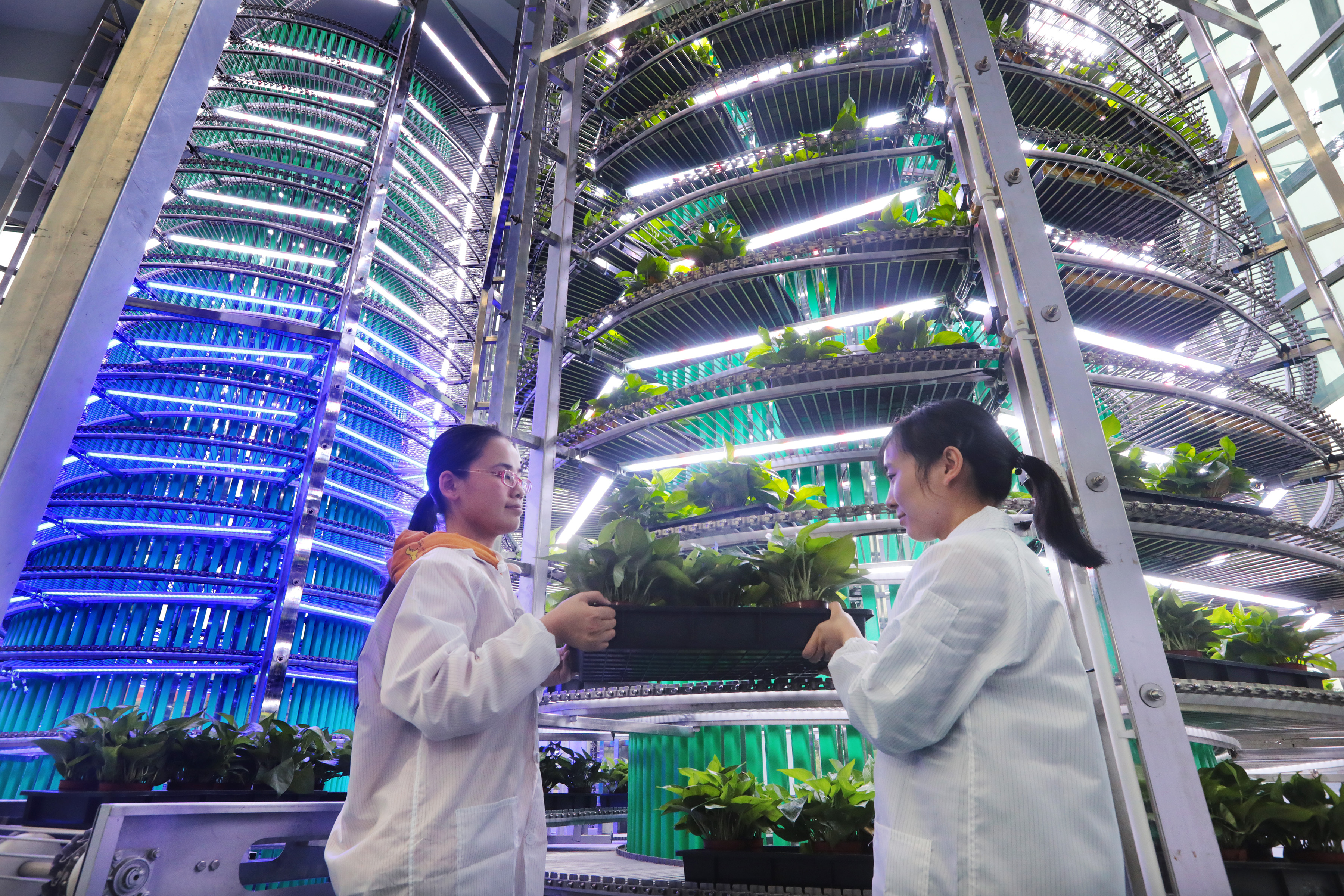 马鞍山光谱,马鞍山光谱项目