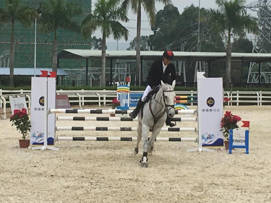 马术三项赛事件,马术事件