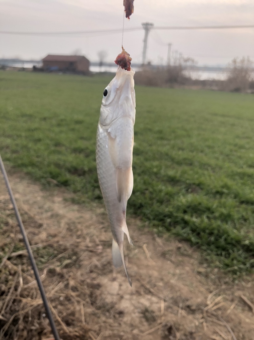 冰钓沉浸式体验,第一次体验冰钓视频