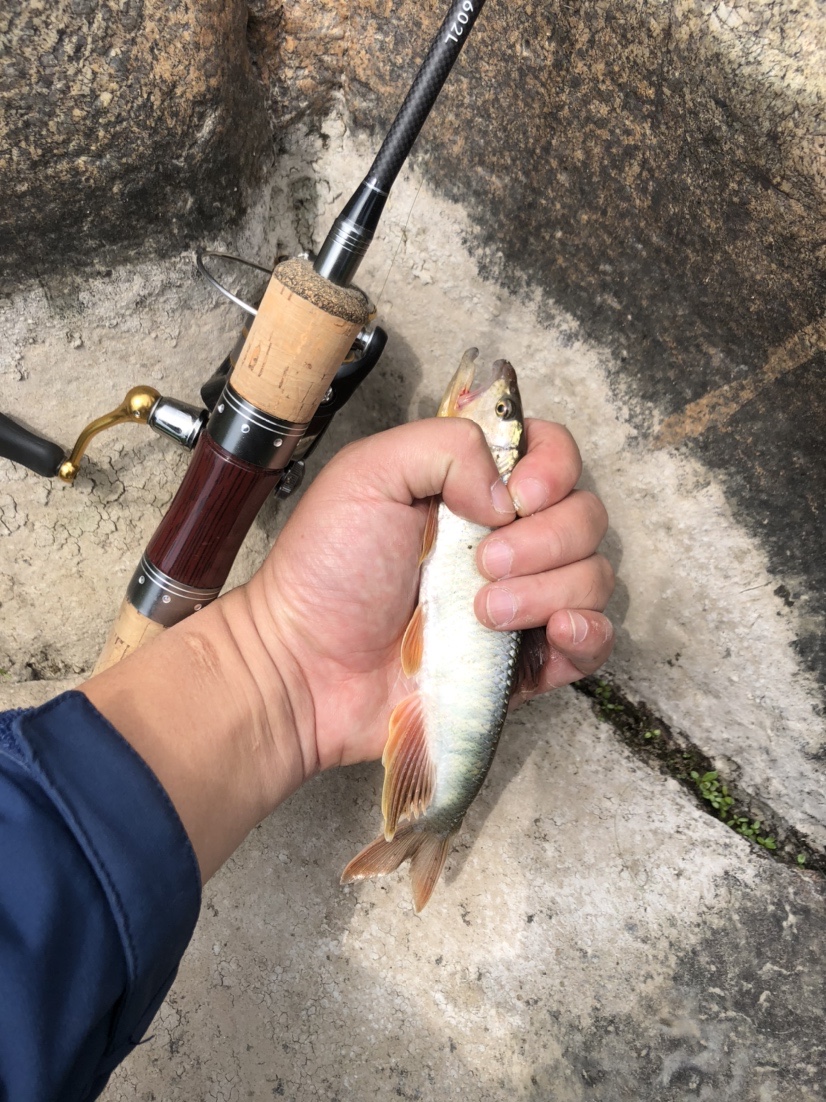 2021打龟爆护同在，未来渔你同行