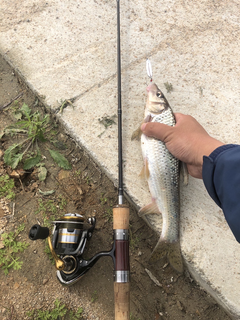 2021打龟爆护同在，未来渔你同行