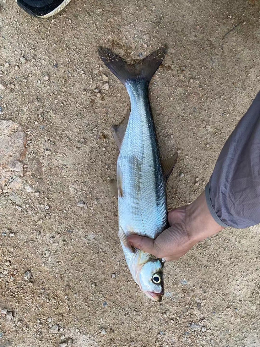 2021打龟爆护同在，未来渔你同行