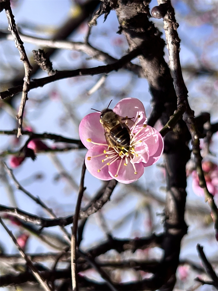 零下2°C的丽江，一个字，绝