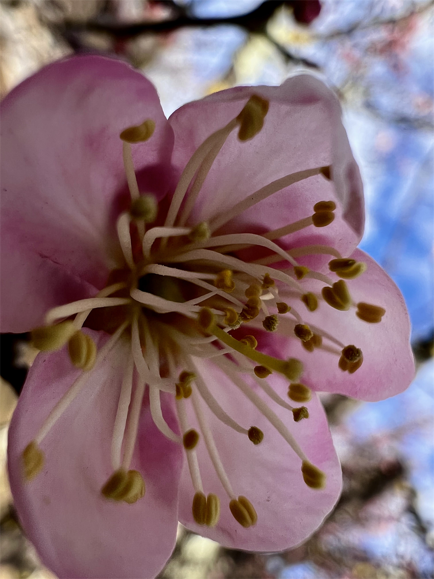 零下2°C的丽江，一个字，绝