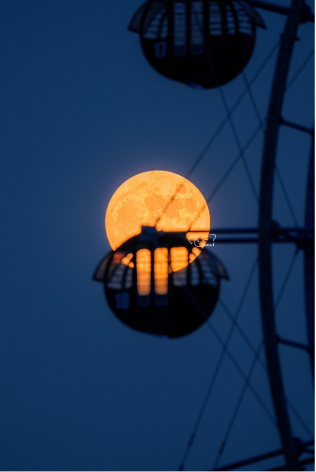 超越界限——索尼Alpha1使用体验