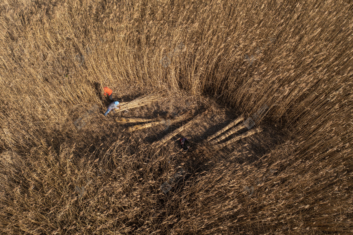 滨州滨城区摄影师,滨州摄影师事迹介绍