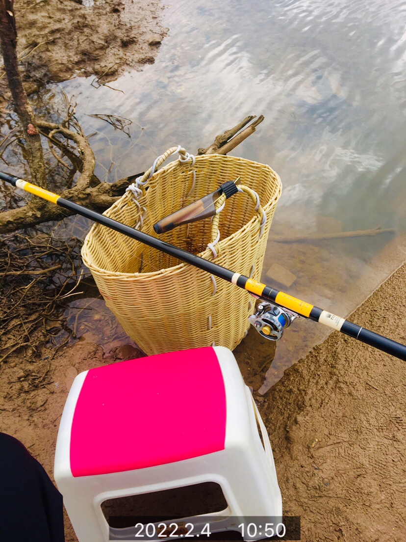 用老婆的菜篮子装新年的第一“金”