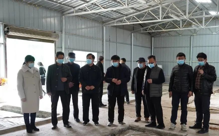 喜迎二十大书法简介,喜迎二十大书法国展