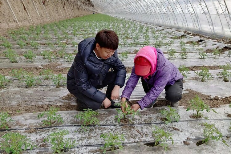 新农人努力拼搏的样子,新农人唤醒乡村新活力