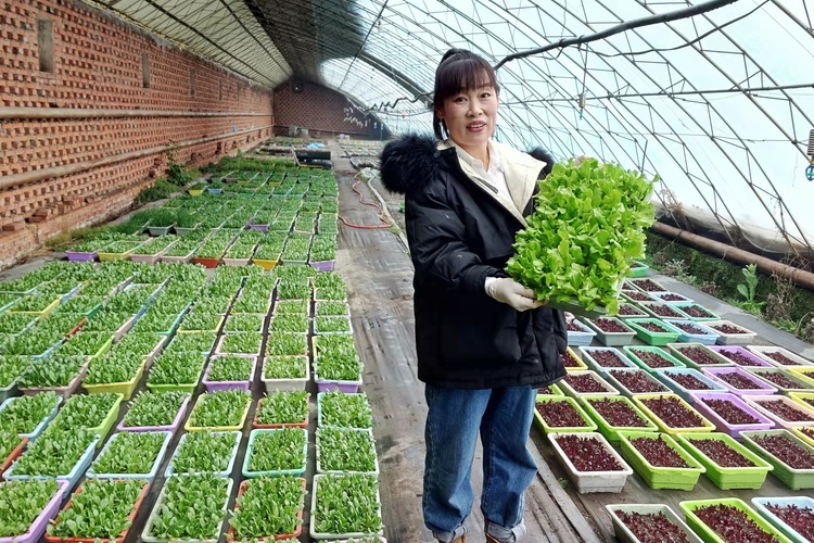 新农人努力拼搏的样子,新农人唤醒乡村新活力