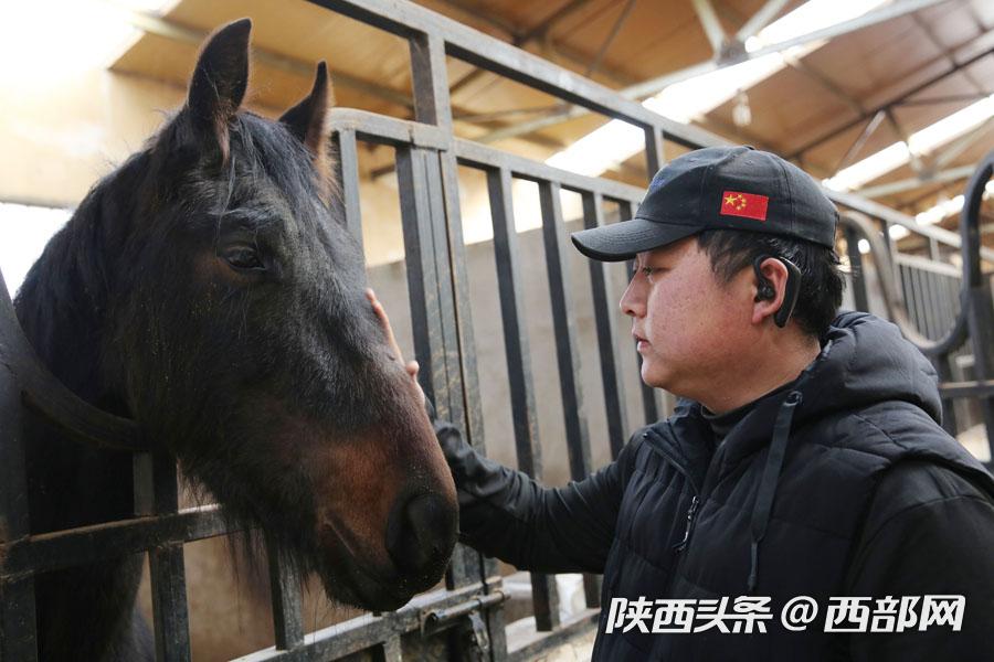马术教练教学生视频,马术教练教你认识各种马