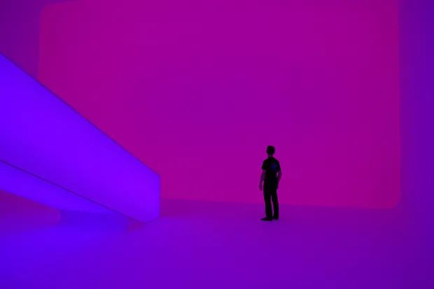 偏爱紫色的人浪漫,偏爱紫色的人是什么原因