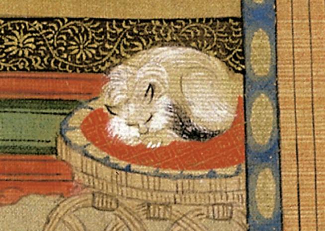 为什么都说游戏是一场梦,本是一场游戏却成了噩梦的开始