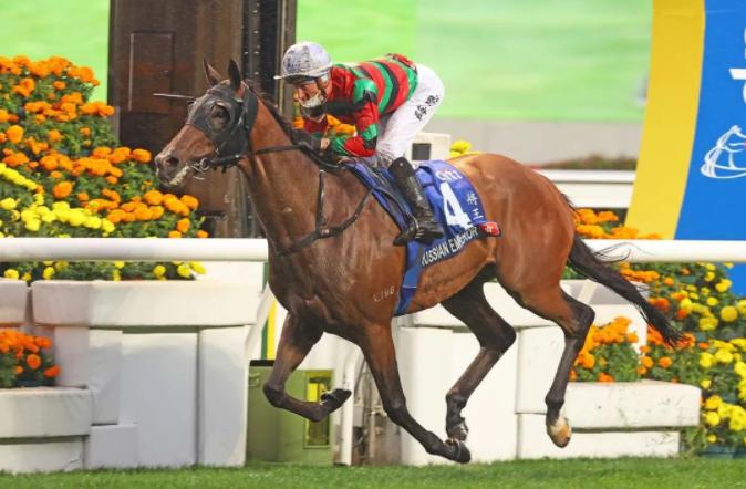 十大最强马匹排行,最新世界马匹排行榜8月