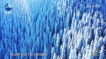 滴！跟着CCTV的镜头打卡*疆新**之春