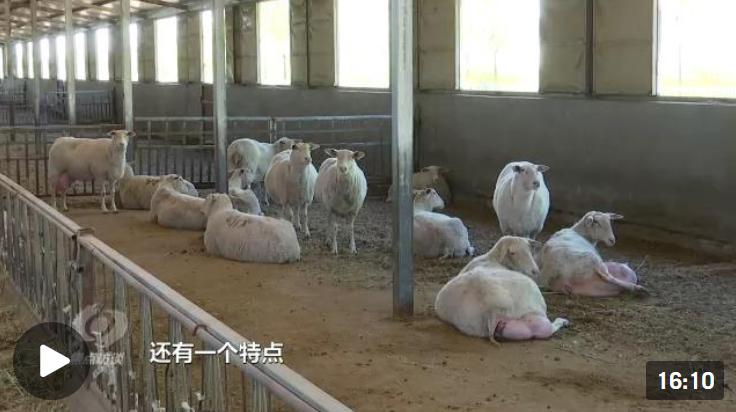 科技小院对乡村振兴的意义,科技小院助力乡村振兴