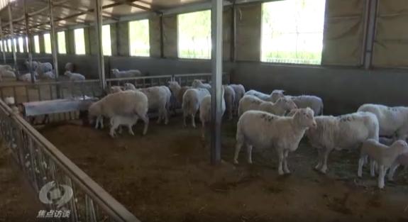 科技小院对乡村振兴的意义,科技小院助力乡村振兴