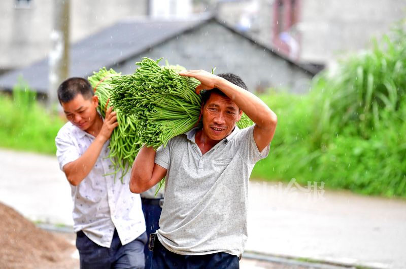螺蛳粉配料包酸豆角,柳州螺蛳粉的配料和制作方法