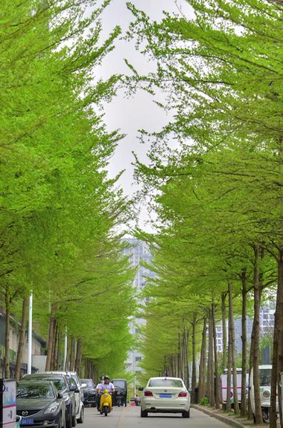 南宁摄影作品征集大赛,广西南宁摄影大赛