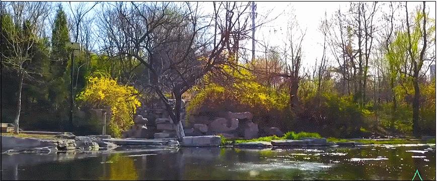 万壑争流，珠玑升腾千百年来，济南这个泉始终静泊着清幽的向往