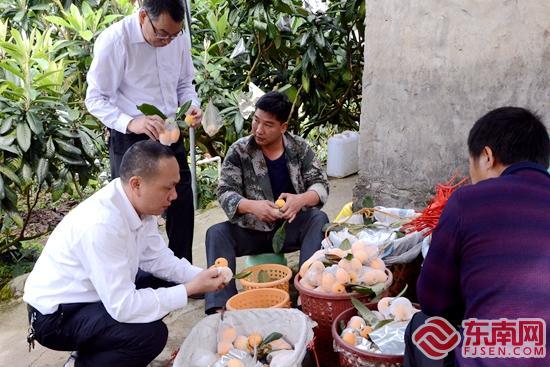 云霄农行：“惠农e贷”为乡村振兴注入新活力