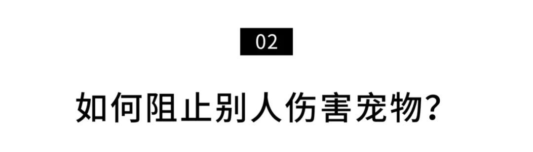 揭秘全国首个“宠物方舱”：揭秘全国首个“宠物方舱”：它们过得怎么样？它们过得怎么样？