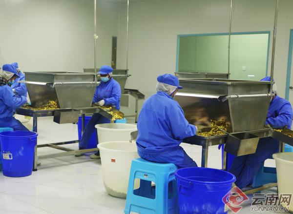 罗平美景图,云南罗平油菜花风景画