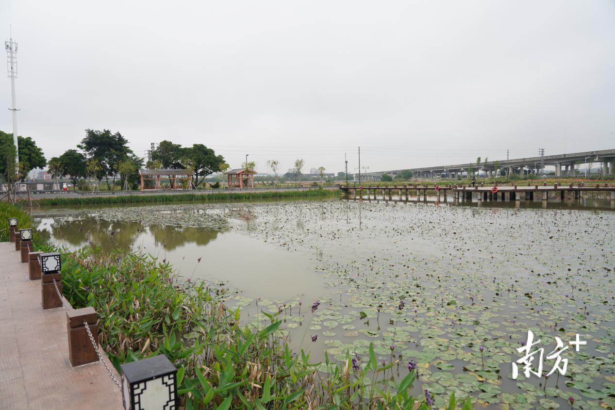 走遍南朗街道 (南朗街道)