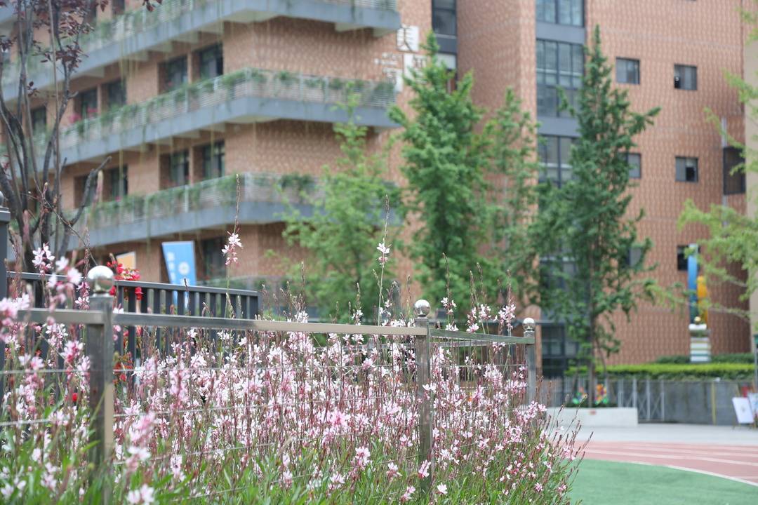 校长来了丨成都外国语学校高新美年校区校长钟灵滋：唤醒每个孩子内心的小马达