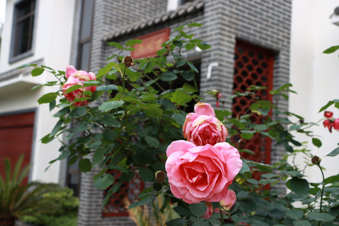 汨罗轰趴馆人气榜,岳阳汨罗轰趴馆