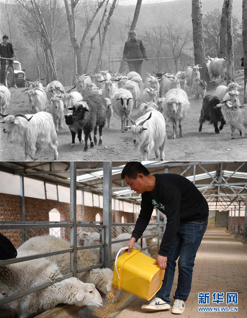 奋进新时代阔步新征程照片,奋进新征程再创新辉煌图片