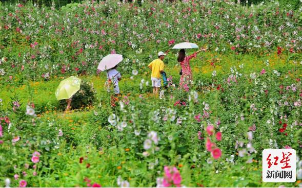 五一长假成都旅游,金堂五一假期怎么玩